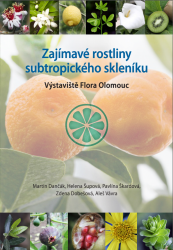 Zajímavé rostliny subtropického skleníku